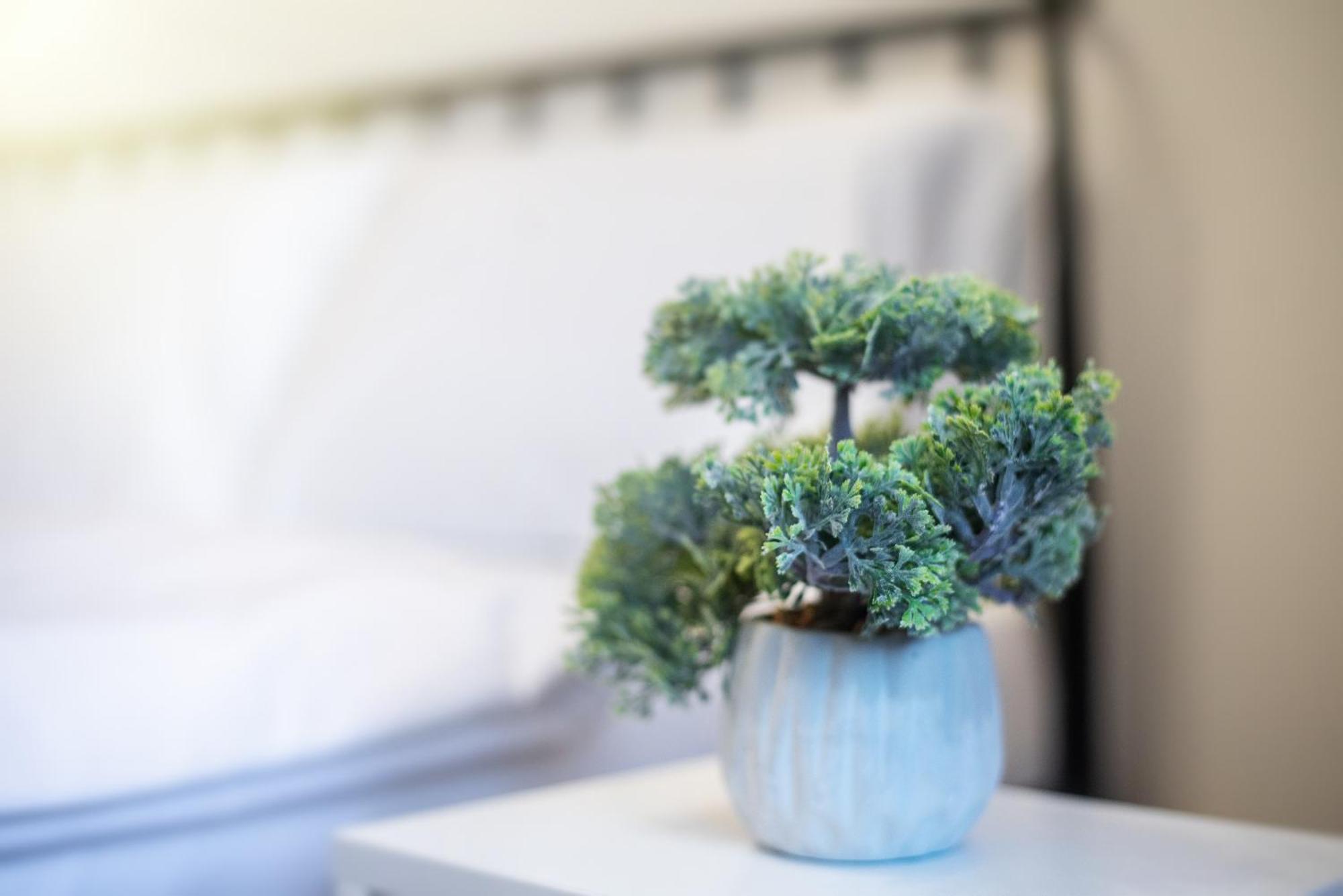 Appartement Hb Ii